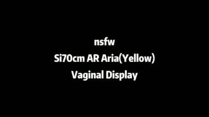 Anime Mini Sex Doll Si70cm AR Aria Vaginal Display