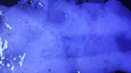 Alien Hentai Porn - Lobby Girl Trapped By Huge Monster Cock In Hotel